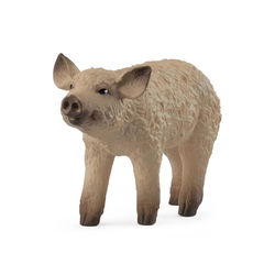 Image of Mangalica Piglet