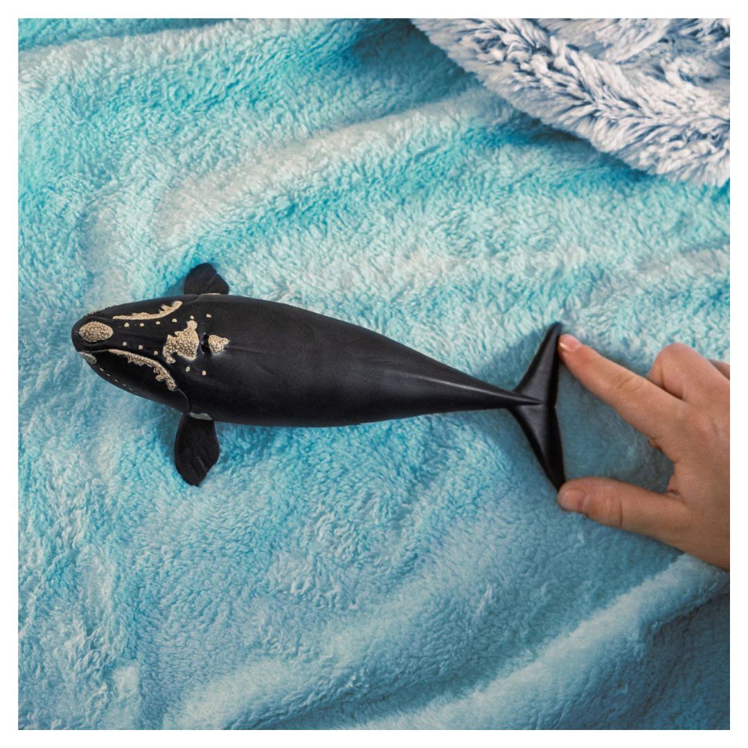 662-0207 Product Image 2