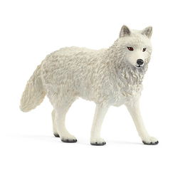 Image of Arctic Wolf
