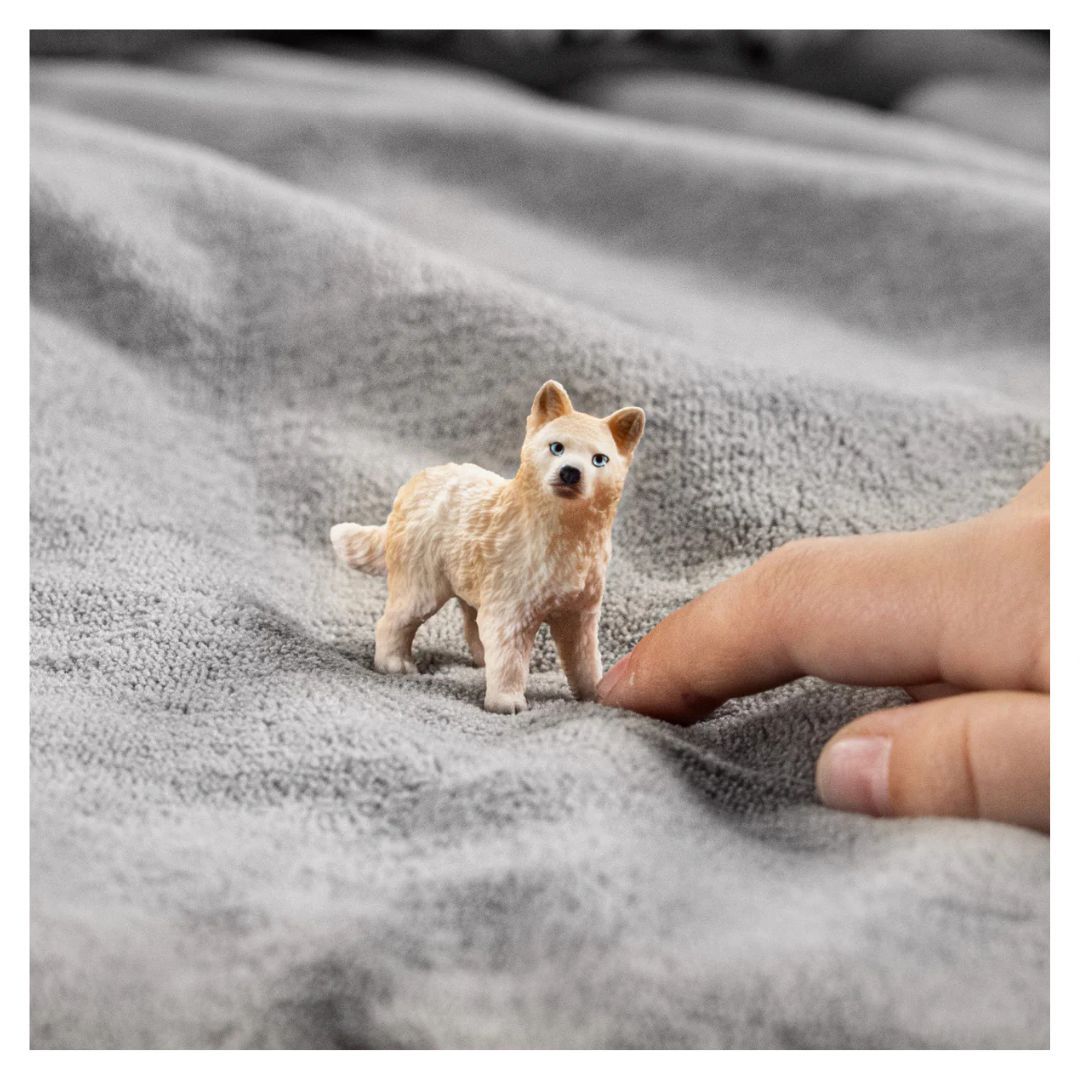 662-0212 Product Image 2