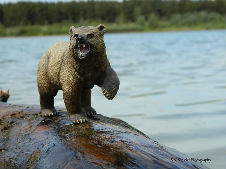 662-0239 Product Image 7