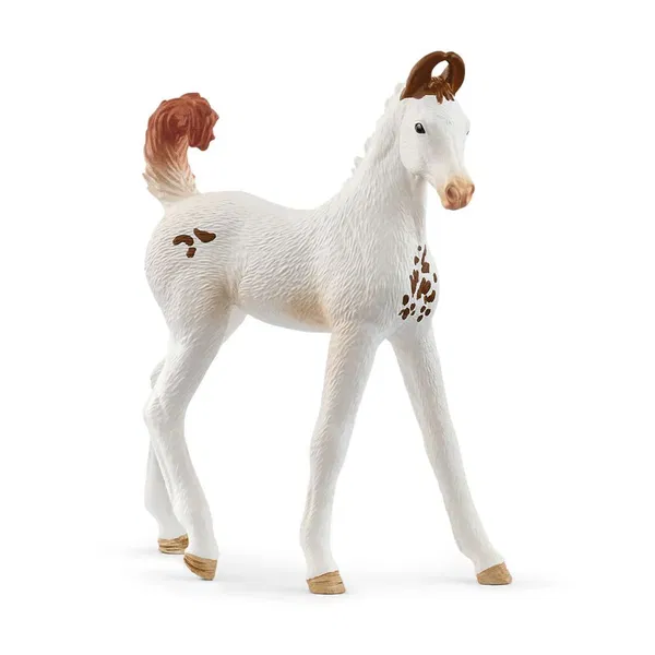662-0244 Product Image 1