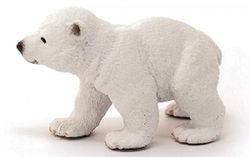 Image of Polar Bear Cub, Walking