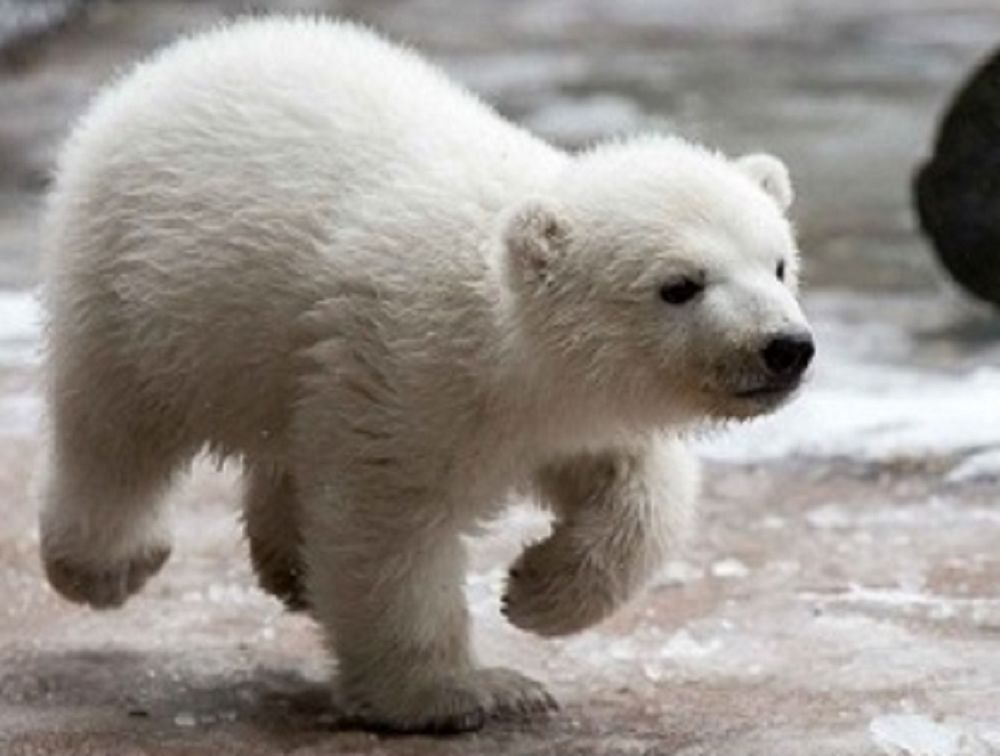 662-0255 Product Image 5