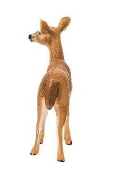 662-0257 Product Image 6