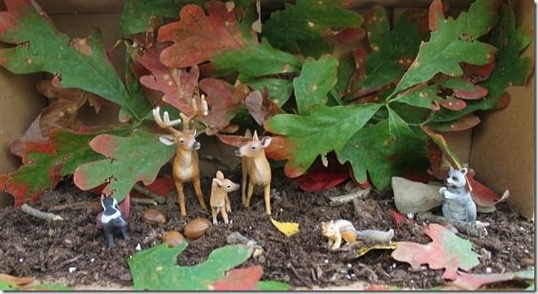 662-0258 Product Image 4