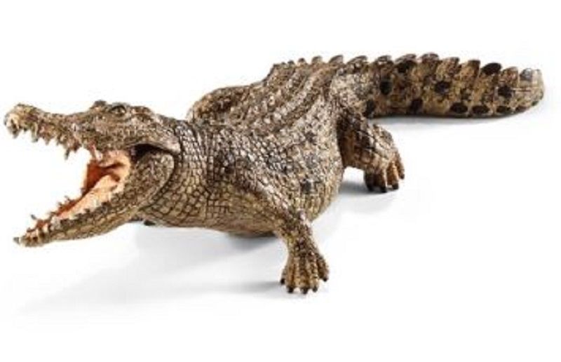 662-0271 Product Image 2