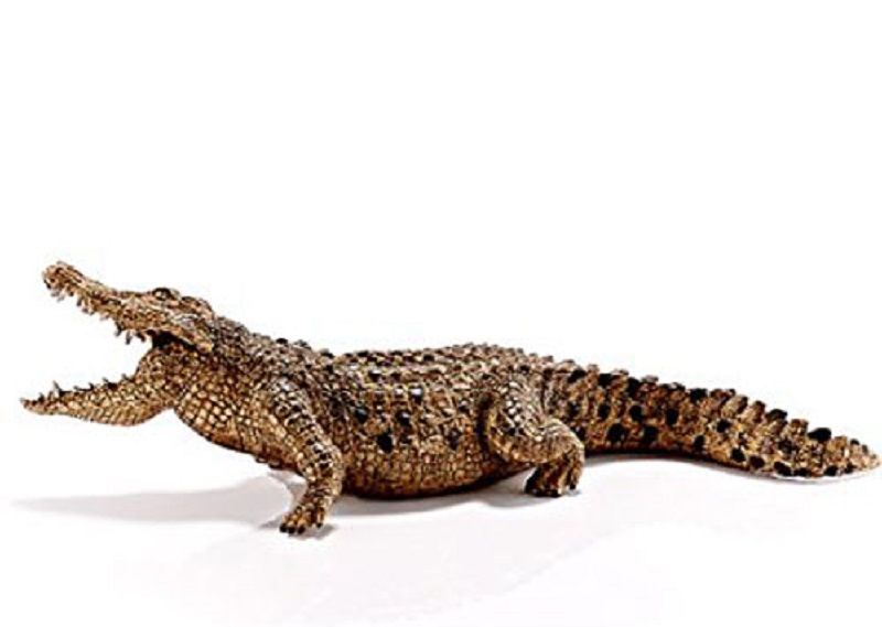 662-0271 Product Image 3