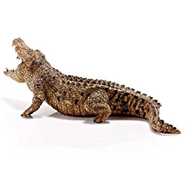 662-0271 Product Image 4