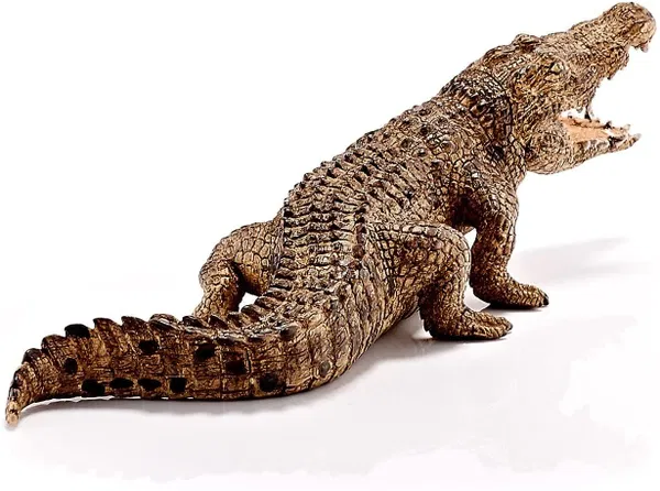 662-0271 Product Image 5