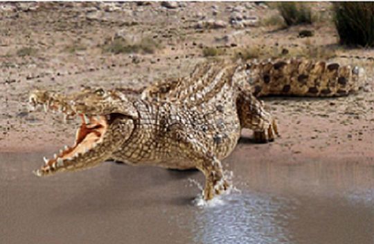 662-0271 Product Image 7