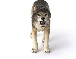 Image of Wolf