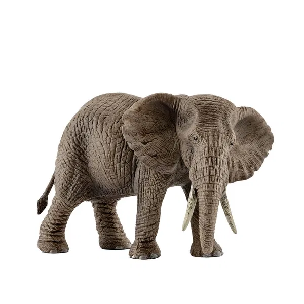 662-0282 Product Image 1