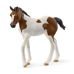 Image of Paint Horse Foal