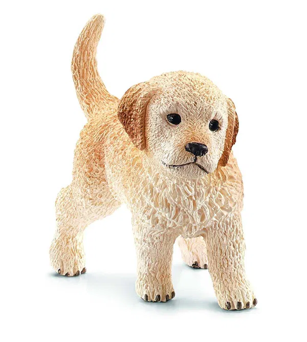 662-0289 Product Image 1
