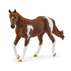 Image of Paint Horse Mare