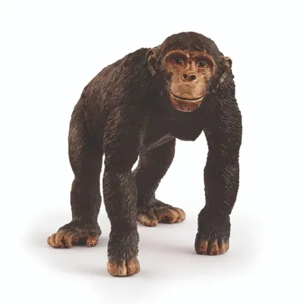 662-0299 Product Image 1