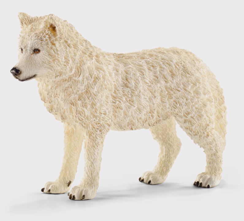 662-0305 Product Image 1