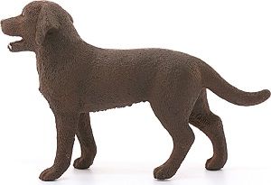 662-0403 Product Image 1