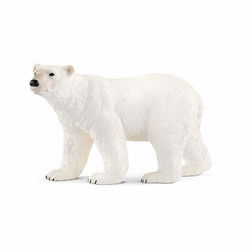 Image of Polar Bear