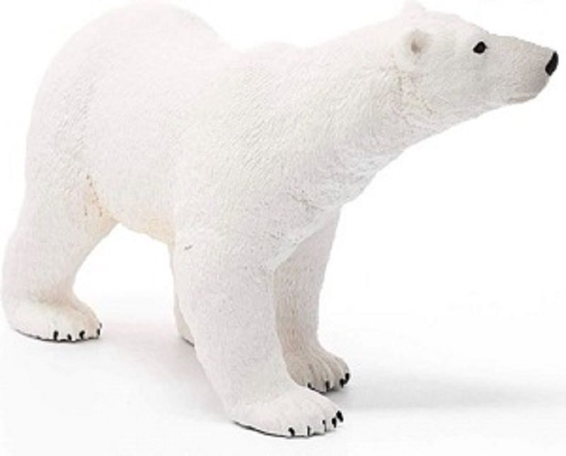 662-0427 Product Image 2