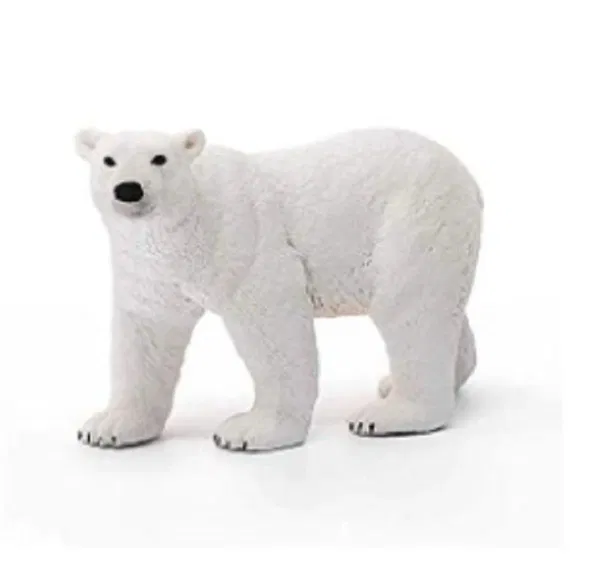 662-0427 Product Image 4