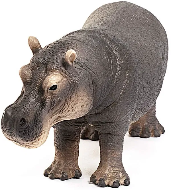 662-0430 Product Image 2