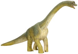 Image of Brachiosaurus