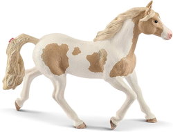 Image of Paint Horse Mare