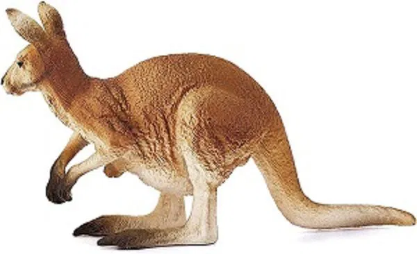 662-0454 Product Image 4
