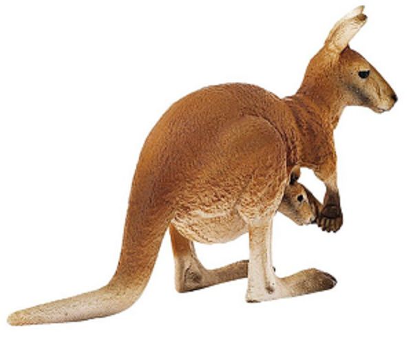 662-0454 Product Image 5