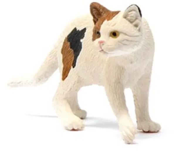 662-0466 Product Image 5