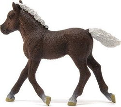 Image of Black Forest Foal