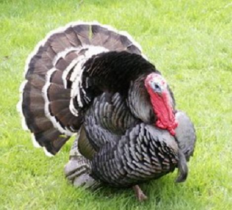 662-0472 Product Image 7