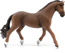 Image of Trakehner Gelding