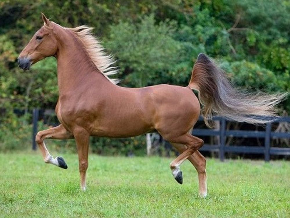 662-0477 Product Image 5