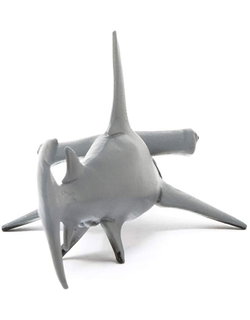 Image of Hammerhead Shark