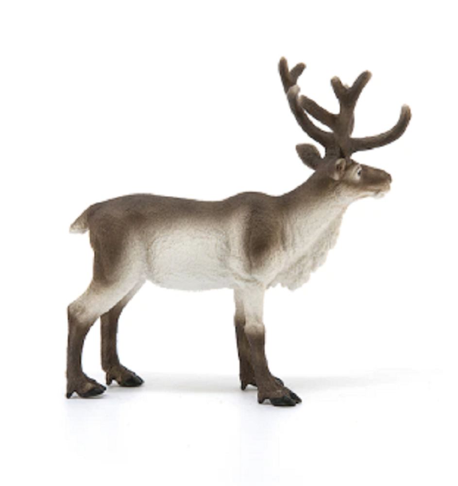 662-0480 Product Image 2