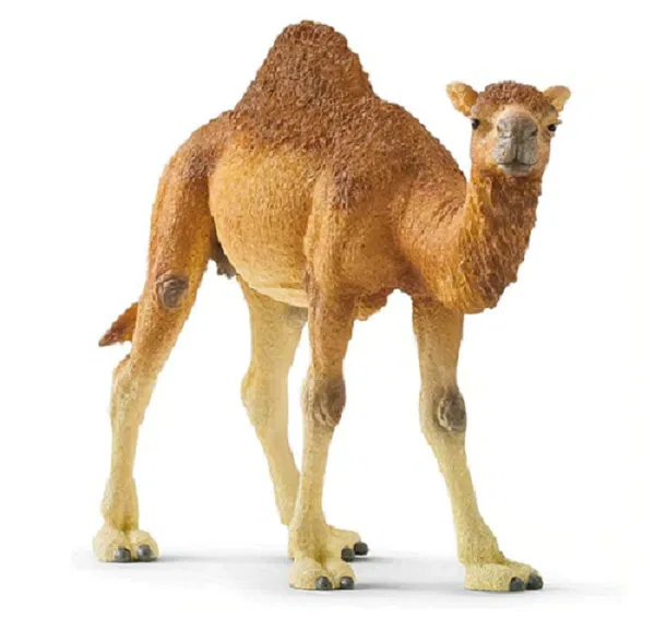 662-0484 Product Image 3