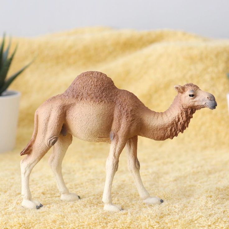 662-0484 Product Image 4