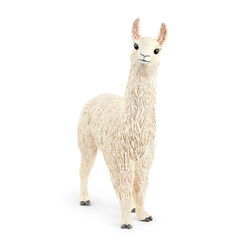 Image of Llama