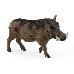 Image of Warthog