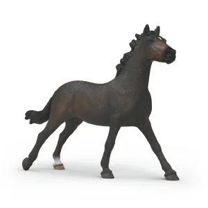 English Thoroughbred Mare