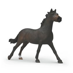 Image of English Thoroughbred Mare
