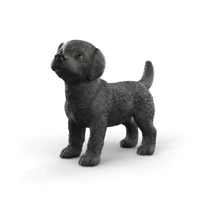 Black Labrador Retriever Puppy