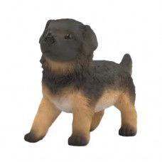 Image of Black Labrador Retriever Puppy