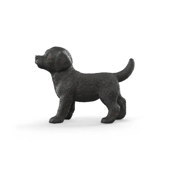 662-1009 Product Image 5