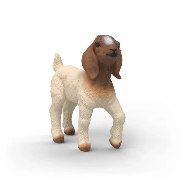 662-1017 Product Image 1
