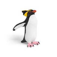 Image of Rockhopper Penguin