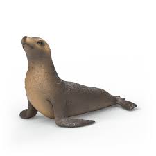 Image of Sea Lion